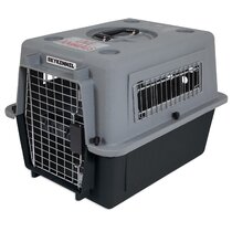 Sky kennels for store dogs